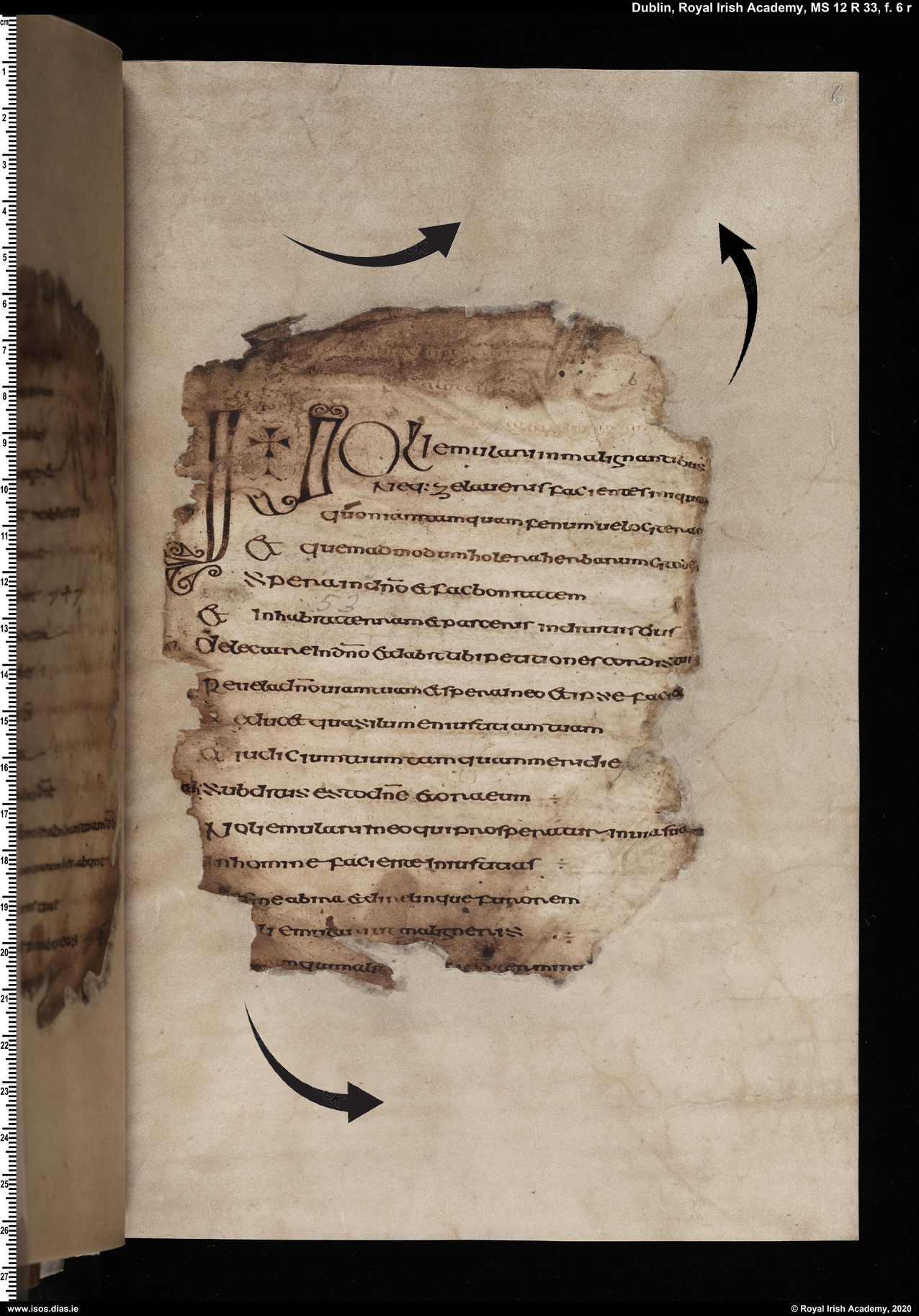 Meamram Páipéar Ríomhaire - Digitising the Cathach of St Colum Cille