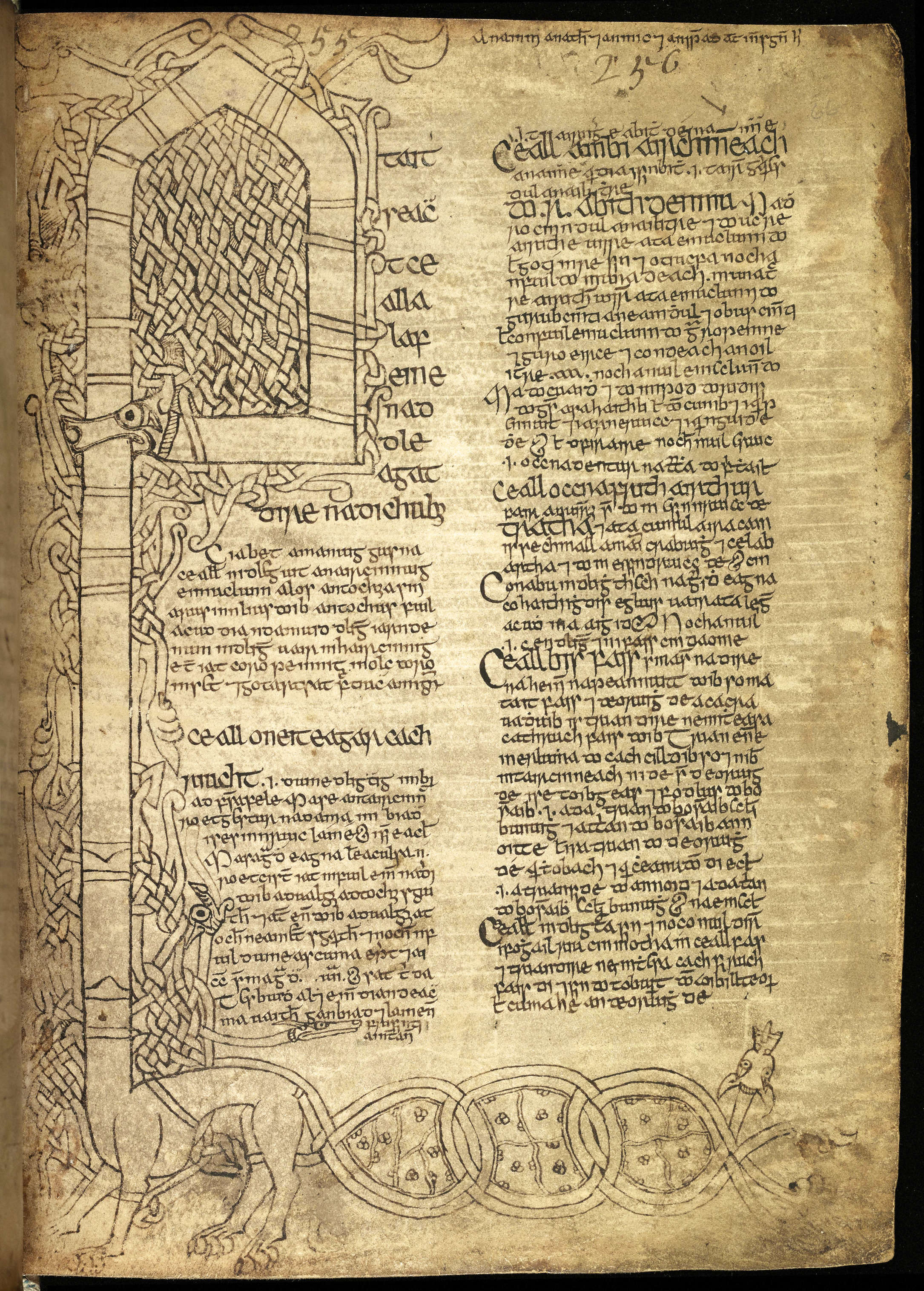 Illuminated page from the Seanchus Mór